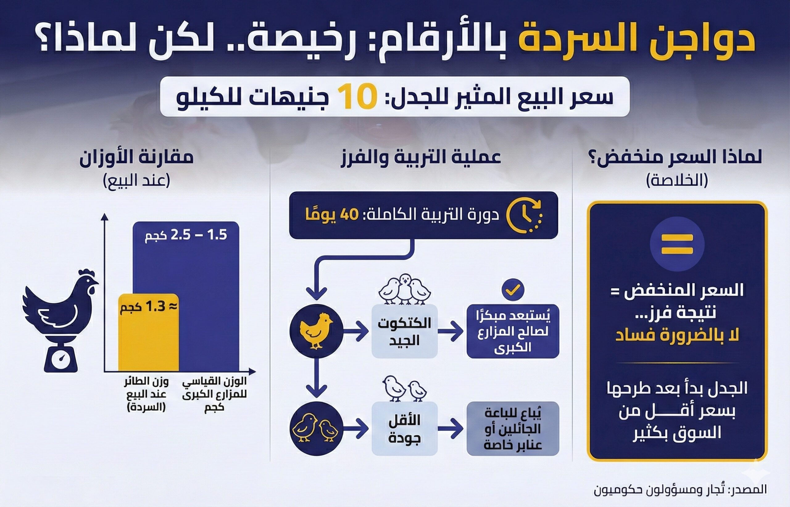 إنفوجراف تم تصميمه بالذكاء الاصطناعي