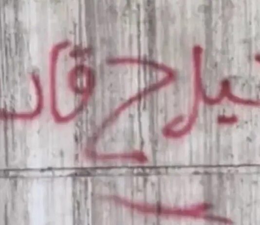 جيل زد العربي والمشهد "السائل" للمال والمعنى وجودة الحياة