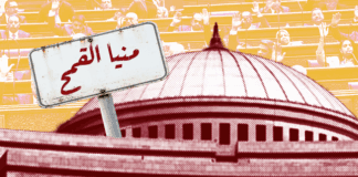 يومياتي في البرلمان| بعد بطلان الانتخابات.. منيا القمح أحسن من الدقي والعجوزة