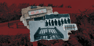 تحت عباءة "الكفالة".. كيف تحولت دار رعاية إلى "وكر" للاتجار بالبشر؟ تصميم- سلمى الطوبجي
