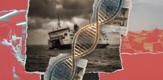 صعيد مصر" خالي" من معامل تحاليل الــ" DNA" تصميم سلمى الطوبجي