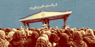 بين الملكية الهجينة والحقوق المؤجلة.. عمال "وبريات سمنود" على طريق الانفجار تصميم: سلمى الطوبجي- فكر تاني